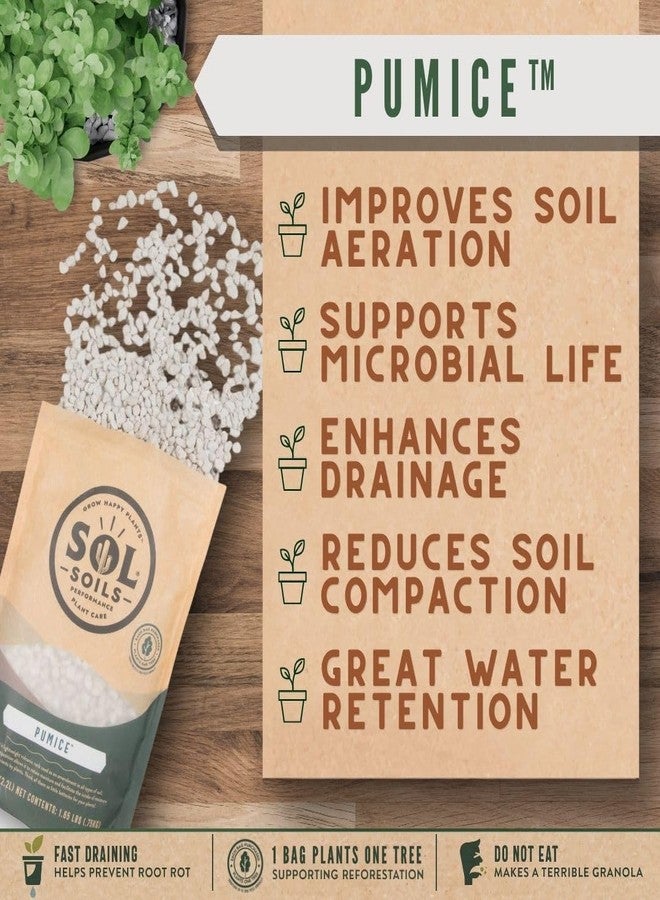 Sol Soils Horticultural Pumice - Lightweight, All-Natural Volcanic Rock Soil Amendment to Improve Drainage, Aeration & Maintain Moisture Balance – Filtered 3/8" to 1/4" - 2 Quarts - Image 4